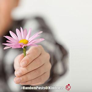 kindness-frame-offered-flower.jpg
