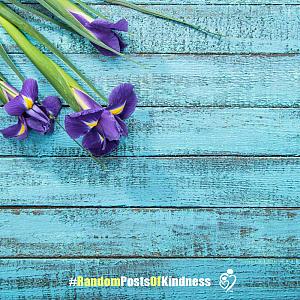kindness-frame-orchids.jpg